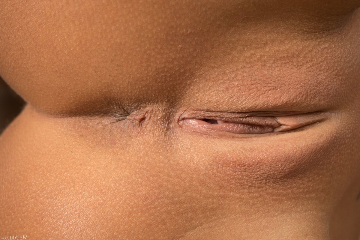 ¿Pero tu ahora estás buscando novia?